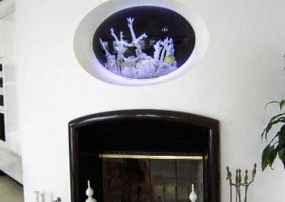 200 gallon bubble aquarium