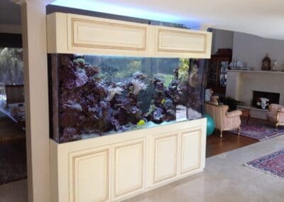 Pacific Palisades 400 gallon coral reef aquarium