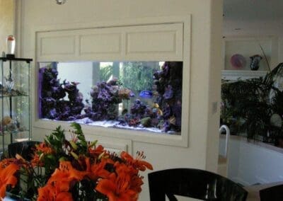 Pacific Palisades 225 gallon reef aquarium