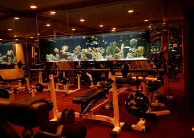 400 gallon FOWLR fish only with live rock saltwater aquarium in the gym