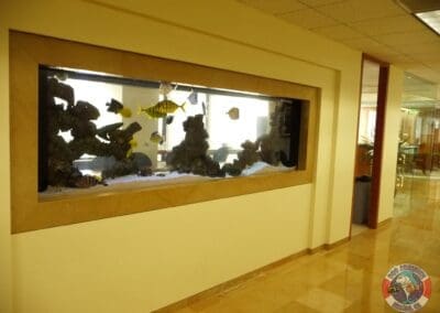 500 gallon conference room aquarium