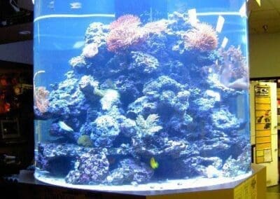 1000 gallon cylinder reef aquarium
