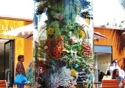 800 gallon cylinder aquarium with a reef insert