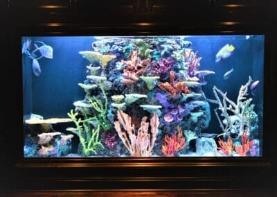 1000 gallon saltwater aquarium